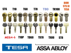 TESA ST6/ MEGA-6/ T10/ T10P/ T60/ TD60/ T70/ TX70/ T80/ TX80/ TK100/ ST8/ DOM STS IX (Italy)