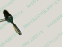 Impression lockpick