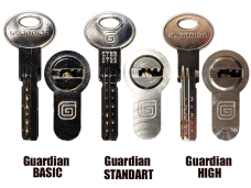 Picking tool for Guardian Standart/Basic/High (Russian locks)