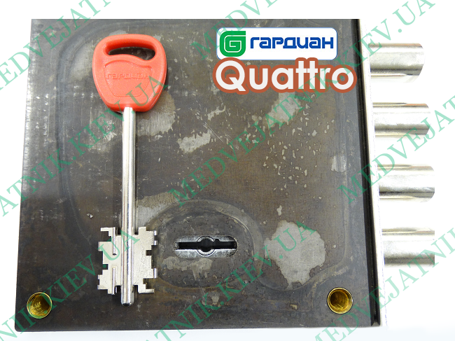 Locksmith key for opening Ezcurra, Fiam, Guardian Quattro lever locks (Italy, Spain, Russia) Locksmiths tools 1